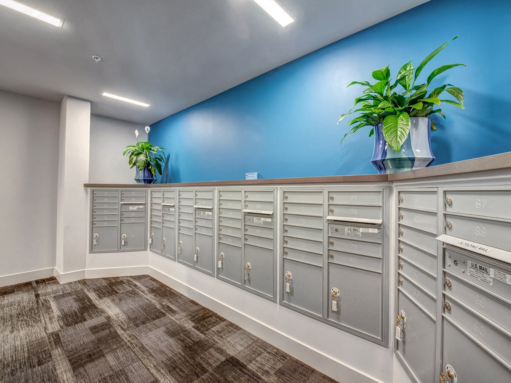 A row of mailboxes are lined up against a blue wall.