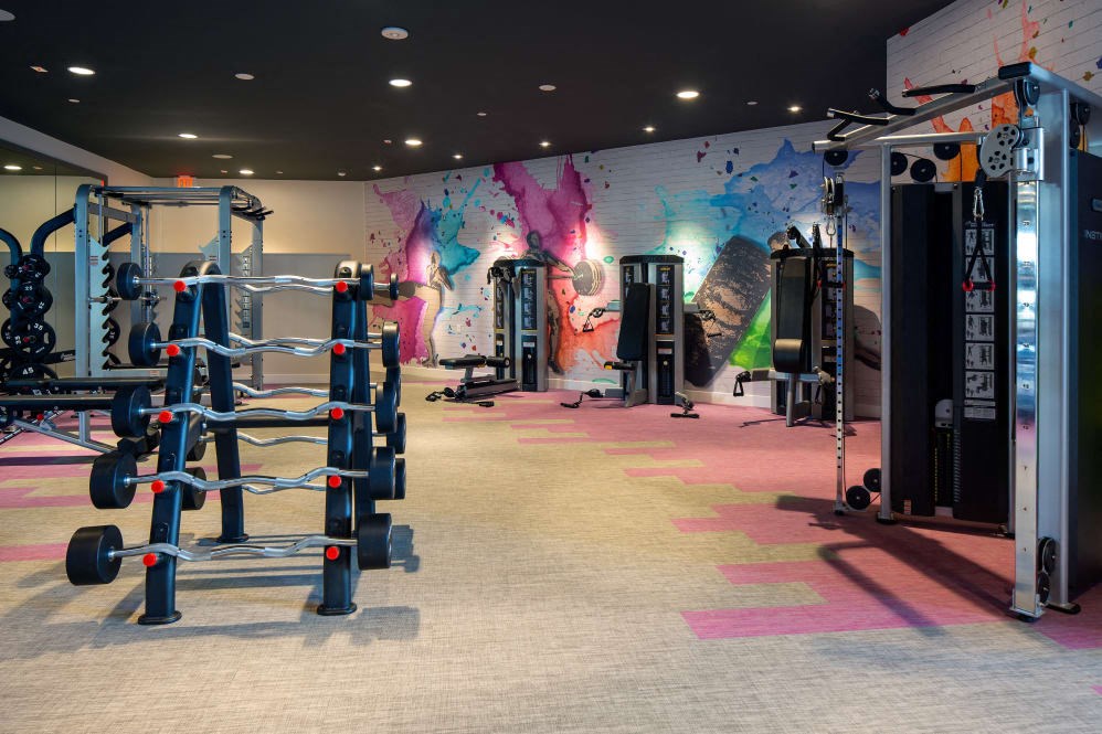 A gym with a variety of equipment including weights and a squat rack.