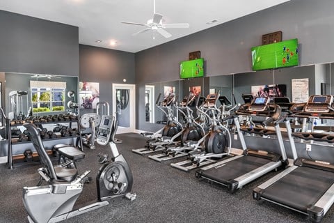A gym with treadmills, exercise bikes, and other equipment.