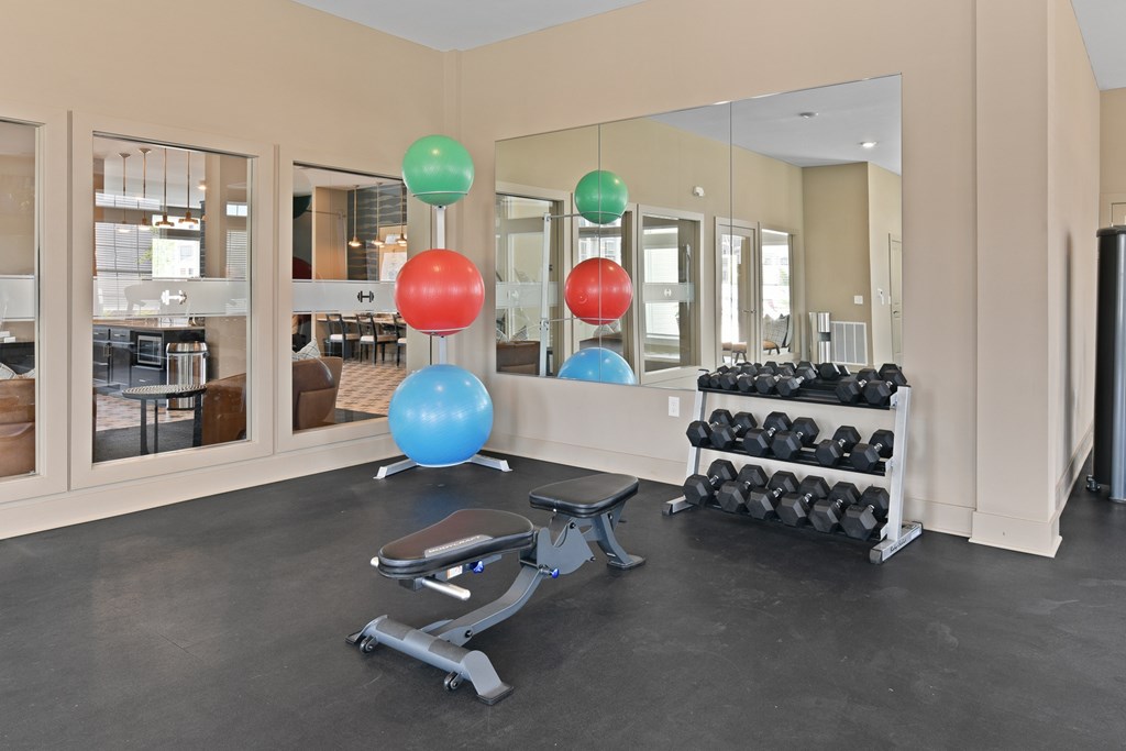 A gym with a row of dumbbells and a bench.