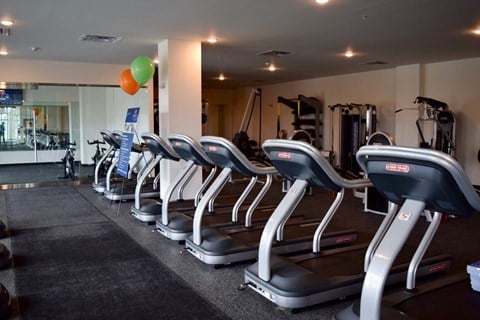 A row of treadmills are lined up in a gym.