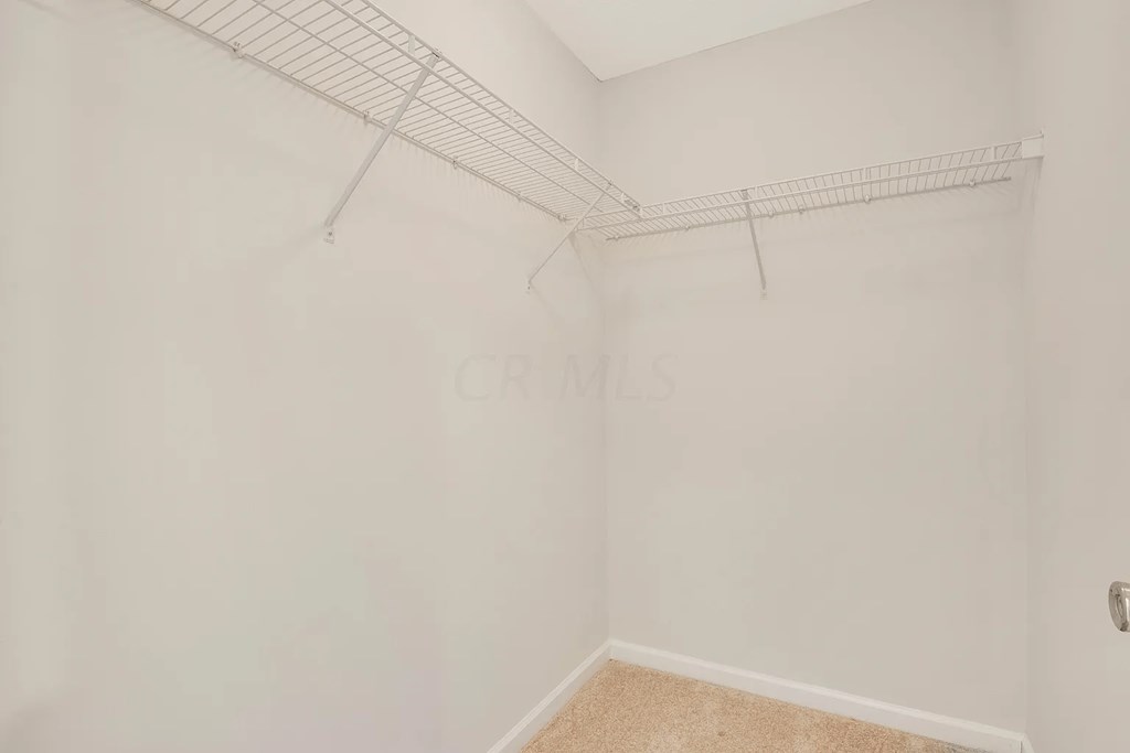 A white wall with a metal rack and a carpeted floor.