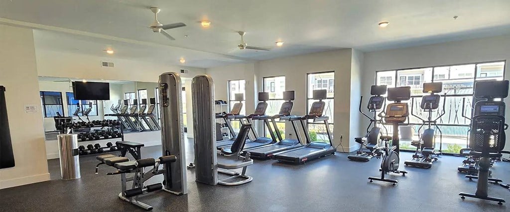 A spacious gym with a variety of equipment including treadmills, weights, and exercise machines.