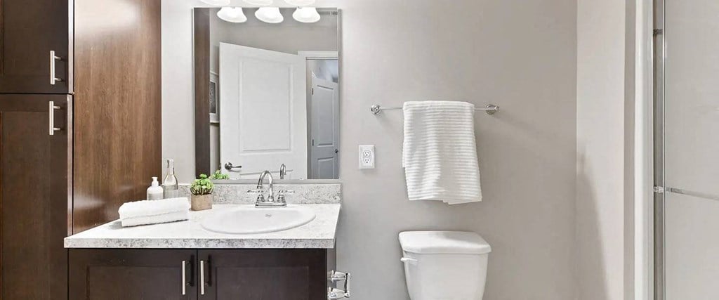 a bathroom with a toilet and a sink and a mirror