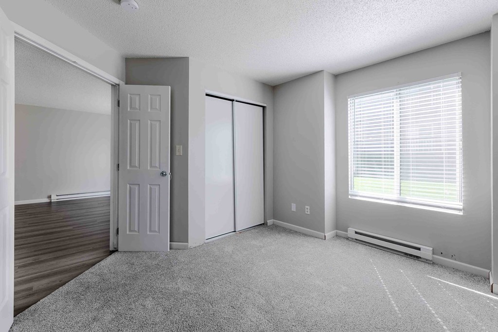 A room with a white door, a window with blinds, and a grey carpet.