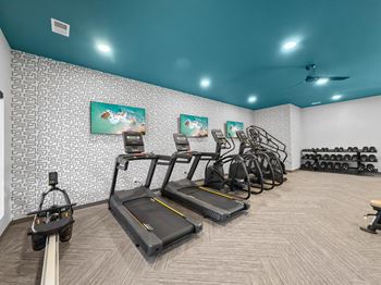 a row of treadmills in a gym with a wall of cardio equipment at Rialto Townhomes Apartments, Waukee, Iowa