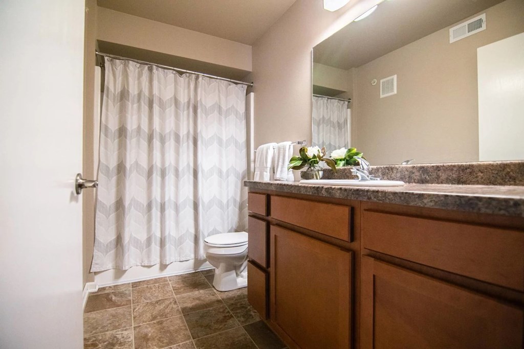 A bathroom with a toilet, sink, and shower curtain.