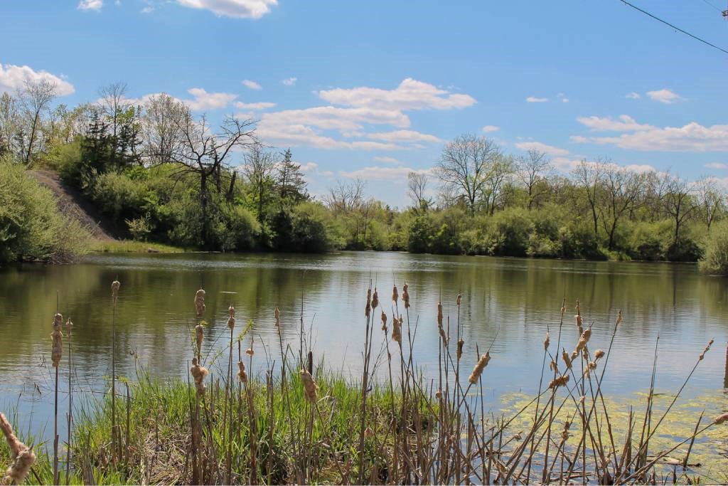 A serene lake surrounded by greenery under a clear sky. at Danamere Village, Carlisle, IA, 50047