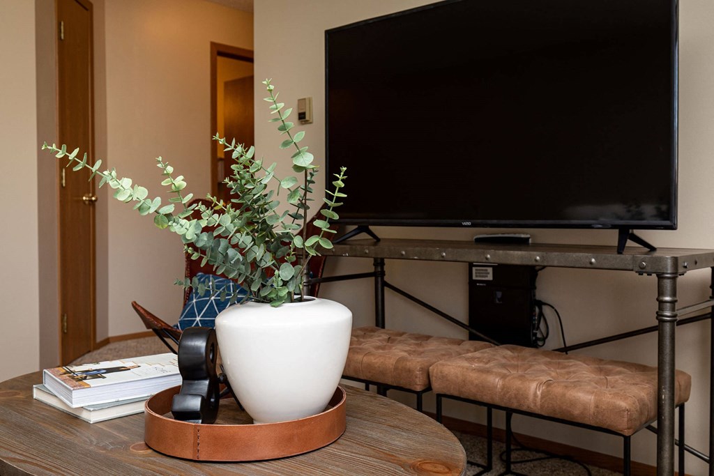A black television is on a stand with a plant and a white vase at Lake Shore Park, Ankeny, IA