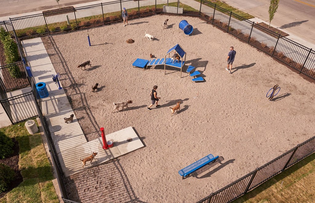 people and dogs in a playground at a dog park at Vue Apartments, Des Moines, IA 50309