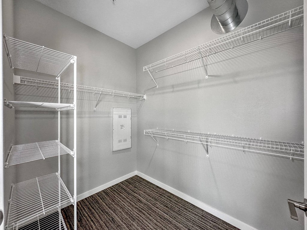 A walk-in closet with shelving and a carpeted floor.at Level, Des Moines, 50309  