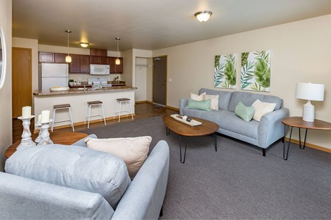A living room with a grey couch and a kitchen in the background.