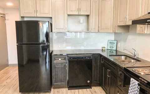 A black fridge and oven in a kitchen with wooden cabinets.