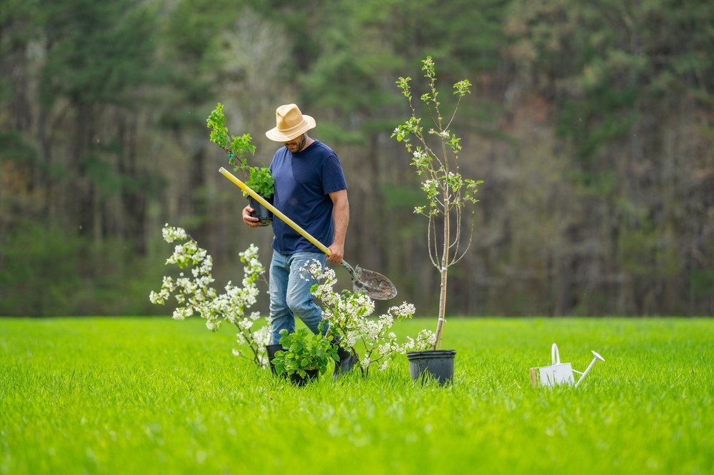 A man in a blue shirt and hat is working in a field with a plant and a watering can.