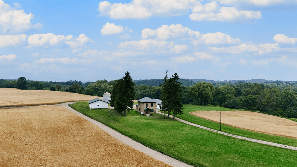 A house is situated on a road between two fields.