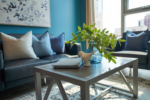 a living room with blue walls and a coffee table with a plant