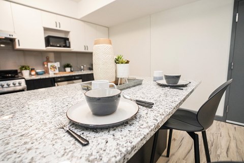 A modern kitchen with a marble countertop and a single plant on it.