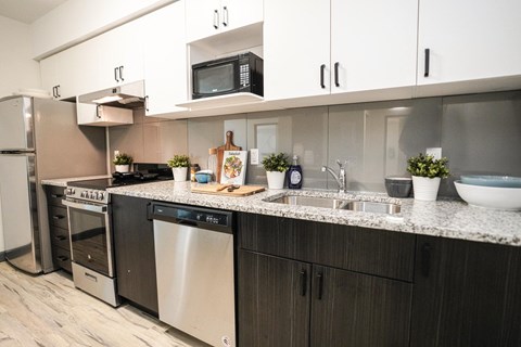 A modern kitchen with a stainless steel dishwasher and a microwave above the sink.