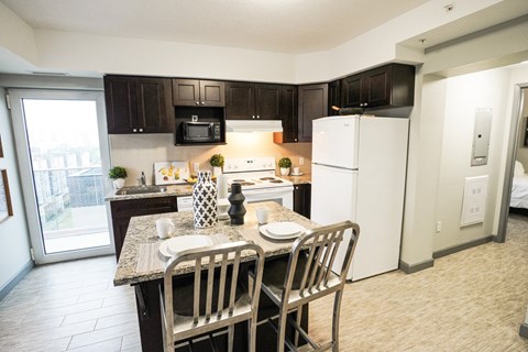 Kitchen with granite countertop and white appliances at 246 Albert Inc. Apartments, Waterloo, ON