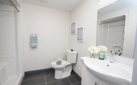 a bathroom with a sink toilet and a mirror