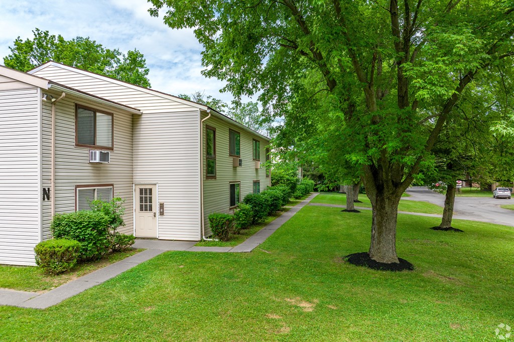 A tree in front of a building with a white door.