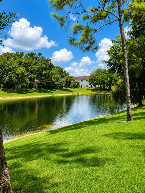 A serene landscape with a pond, trees, and a house in the distance.