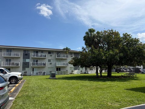 A tree in a grassy area in front of a white building.