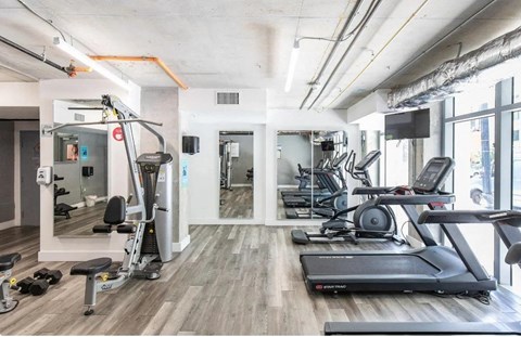 the gym is equipped with state of the art equipment