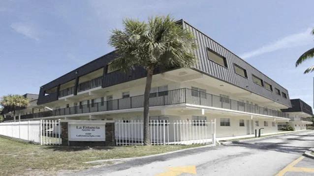 a white building with a palm tree in front of it