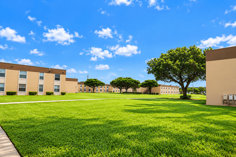A tree stands alone in a grassy courtyard between two buildings.