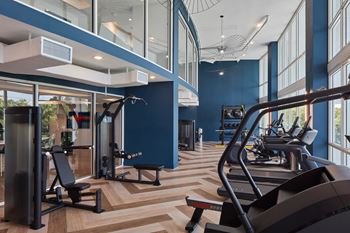 A gym with treadmills, weights, and exercise equipment.