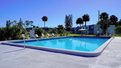 A swimming pool with a white fence and palm trees in the background.