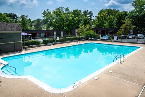 A large swimming pool with a white border and a ladder on the side.