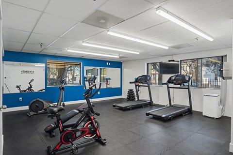 A gym with a blue wall and exercise equipment.
