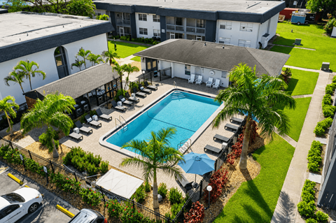 A pool surrounded by palm trees and lounge chairs.