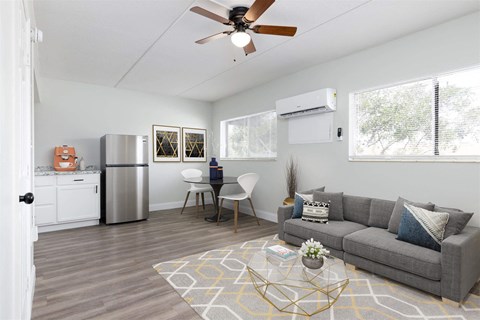 a living room with a couch and a ceiling fan