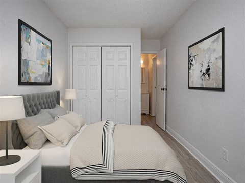 a bedroom with a bed and a closet
