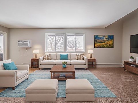 A living room with a white couch, a blue rug, and a painting on the wall.
