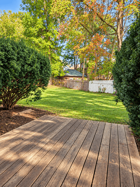 A wooden walkway leads through a lush green garden.