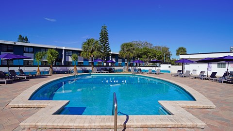 A large outdoor swimming pool with a blue tiled edge and a red ladder.
