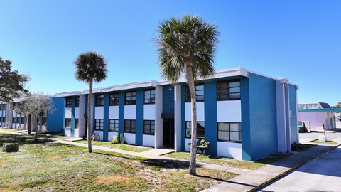 A blue and white building with a palm tree in front.