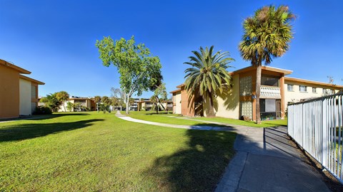 A sunny day at a residential area with houses and palm trees.