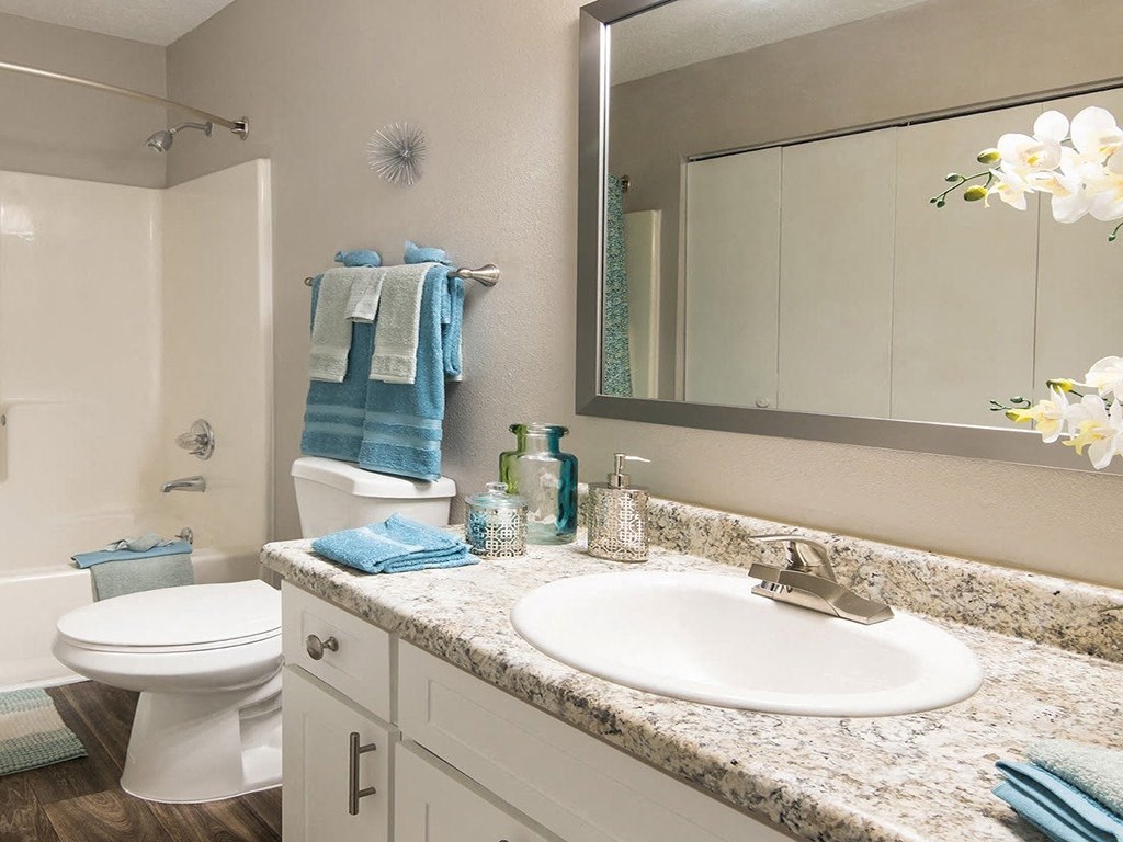 a bathroom with a sink and a toilet and a mirror