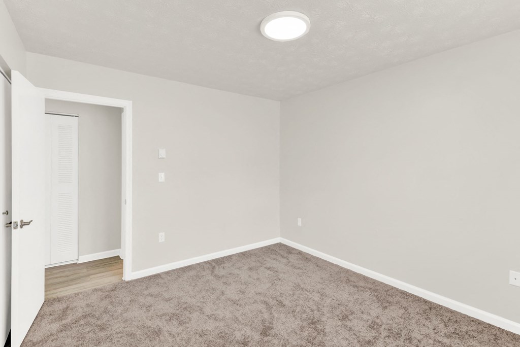 an empty room with carpet and a door to a closet