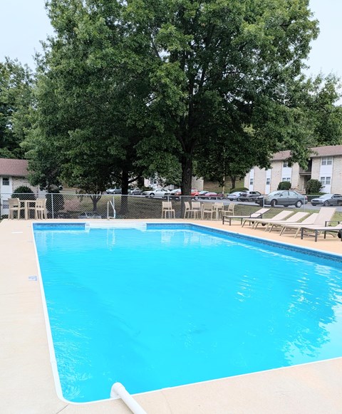 A swimming pool surrounded by trees and chairs.