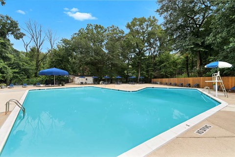 A large blue swimming pool surrounded by trees and a fence.
