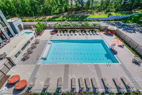 A large outdoor swimming pool surrounded by lounge chairs and umbrellas.