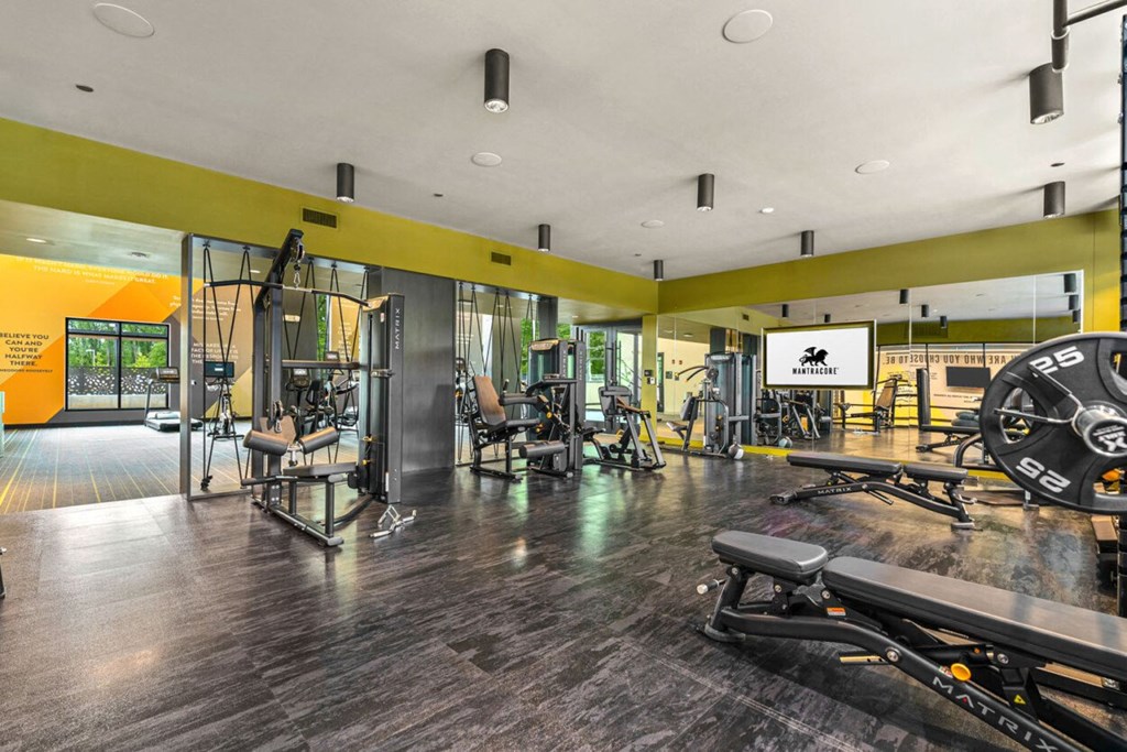 the gym is equipped with weights and other exercise equipment