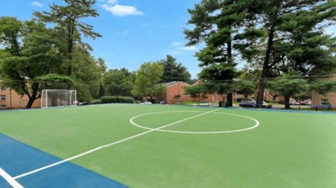 a basketball court in a park with trees