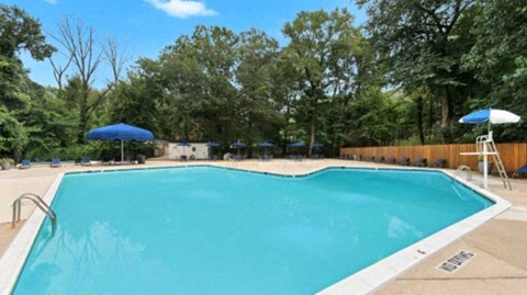 a group of stars on a projector screen with a reflection of the sky